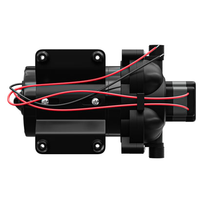 Leisure Coachworks RV Water Pump 3.5 GPM with Adapters Stainer Filter Kit (Black)