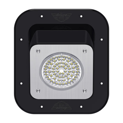 Leisure LED 12V RV Exterior LED Warrior Flood Light Square Cool White Surface Mount 1100 Lumen 8 Inch (White)