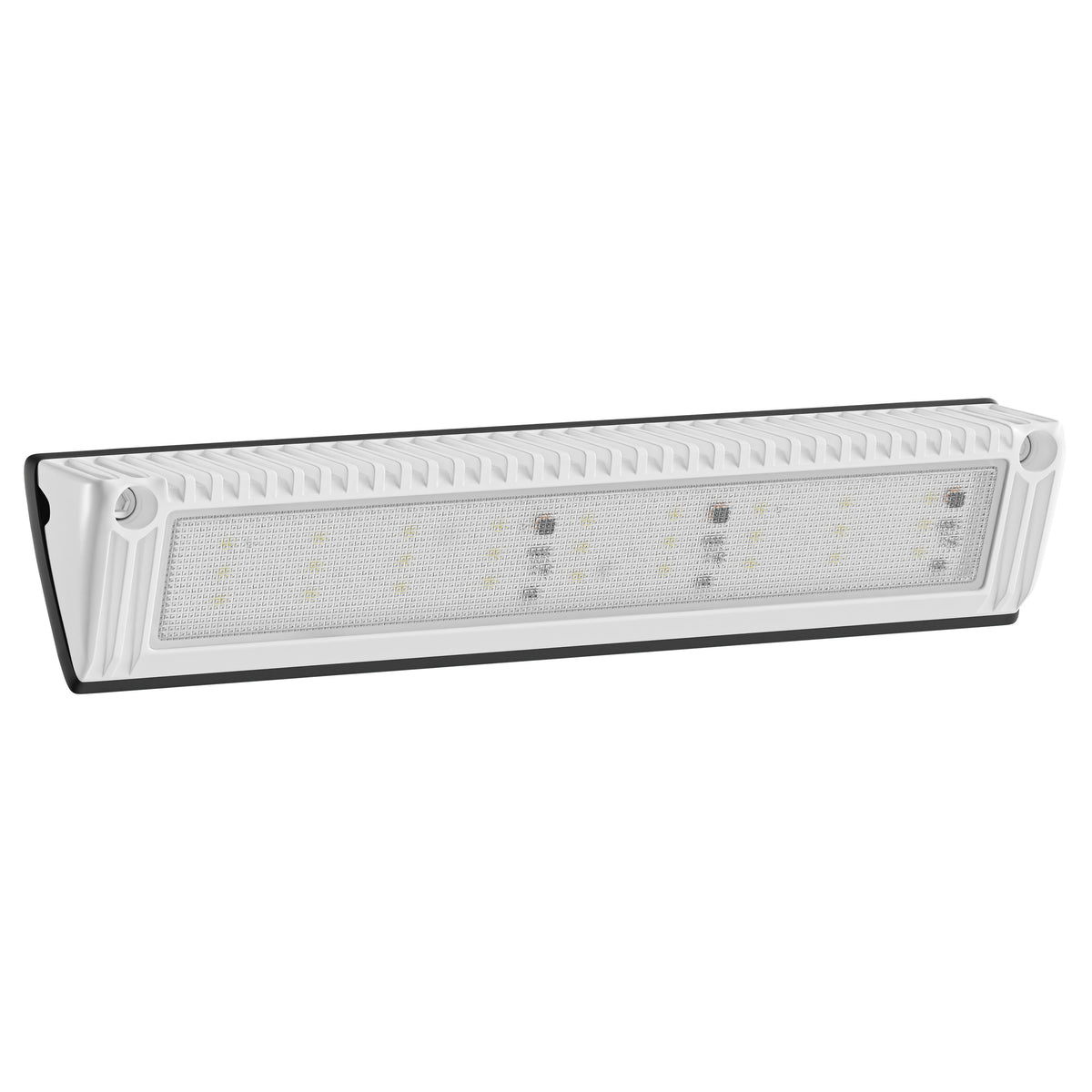 Leisure LED 12V RV Exterior LED Utility Porch Light Cool White 2250 Lumen Aluminum Housing 12.9 Inch (White)