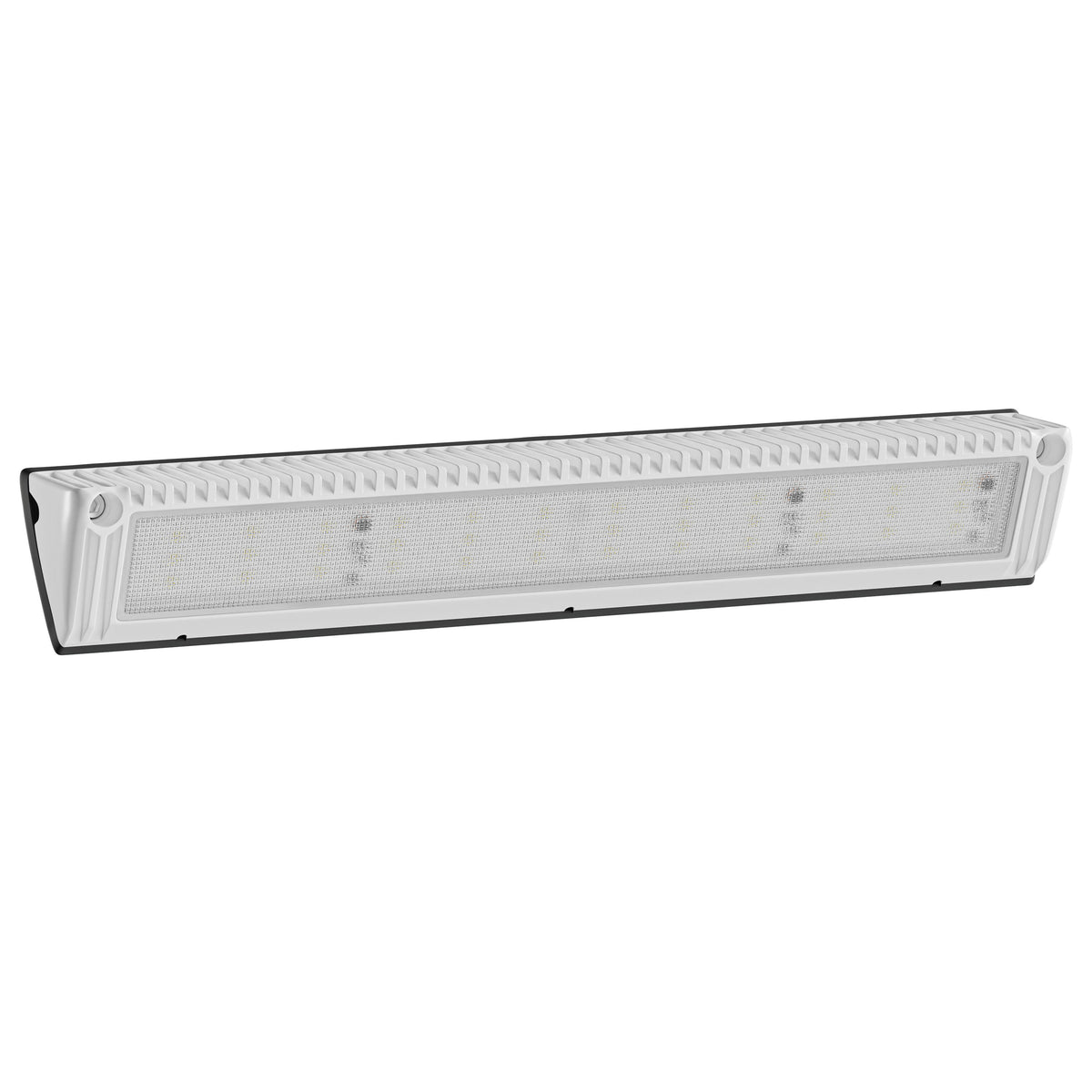 Leisure LED 12V RV Exterior LED Utility Porch Light Cool White 3200 Lumen Aluminum Housing 17.7 Inch (White)