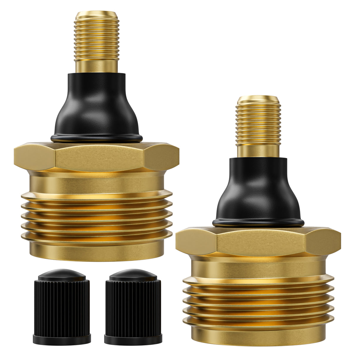 Leisure Coachworks RV Water Blow Out Plug Adapter with 3/4 Inch GHT to Schrader Valve (Brass)