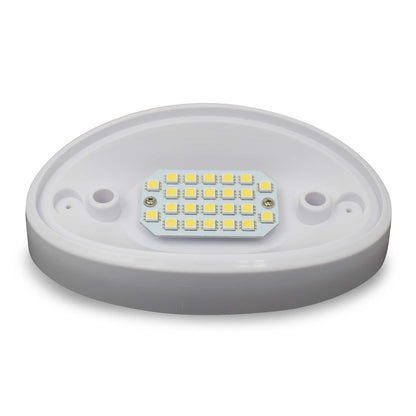 Leisure LED 12V RV Exterior LED Porch Light Oval Cool White with Amber Lens 6 Inch (White)