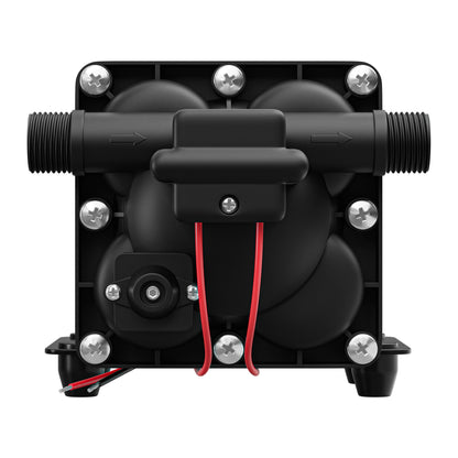 Leisure Coachworks RV Water Pump 5.5 GPM with Adapters Stainer Filter Kit (Black)