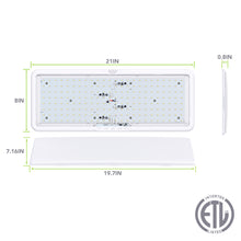Leisure LED 12V RV Interior LED Ceiling Light Rectangle Natural White Touch Dimmer Switch 2000 Lumen 21 Inch (White)