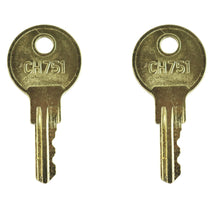 Leisure Locks RV 751 Key Replacement for T-handles Camper Shells Cabinets Push Locks 1 Inch (Brass)