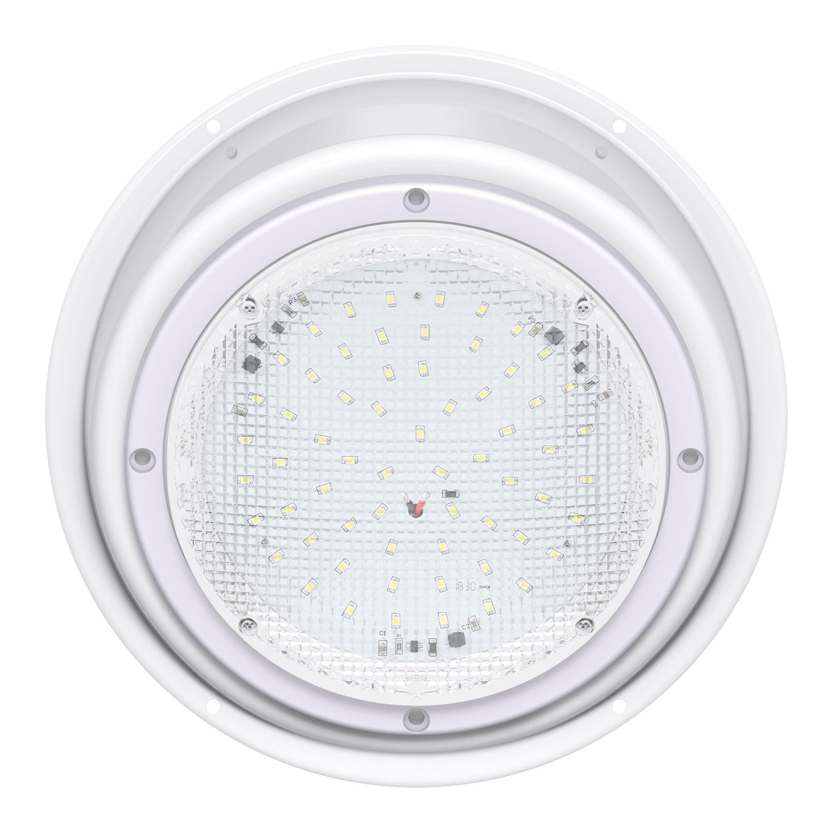 Leisure LED 12V RV Exterior LED Scare Light Round Cool White Clear Lens 600 Lumen with Bezel Kit 8 Inch (White)