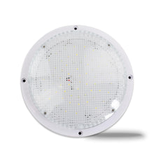 Leisure LED 12V RV Exterior LED Scare Light Round Cool White Clear Lens 600 Lumen with Bezel Kit 8 Inch (White)