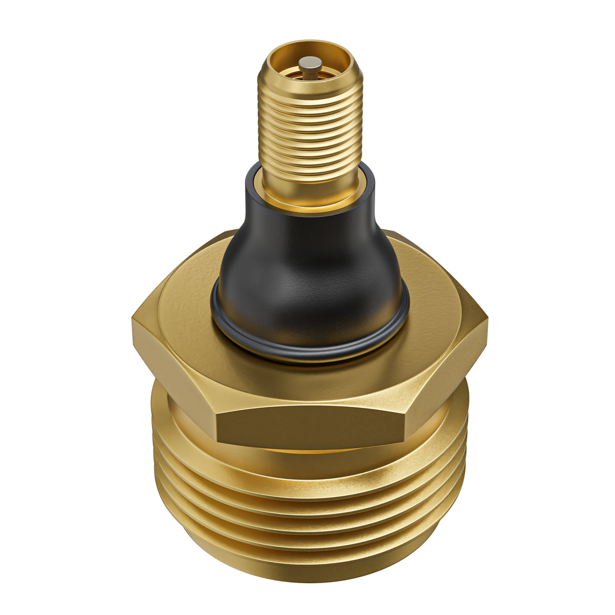 Leisure Coachworks RV Water Blow Out Plug Adapter with 3/4 Inch GHT to Schrader Valve (Brass)