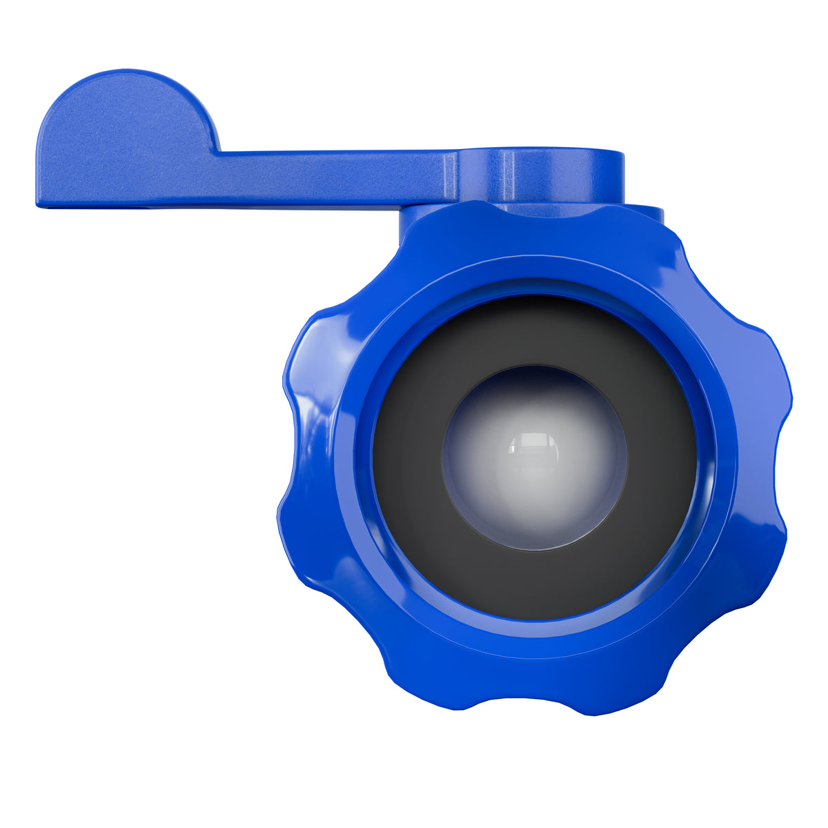 Leisure Coachworks RV Water Tank Filler with Shutoff Valve 5/8 Inch Tube (Blue)