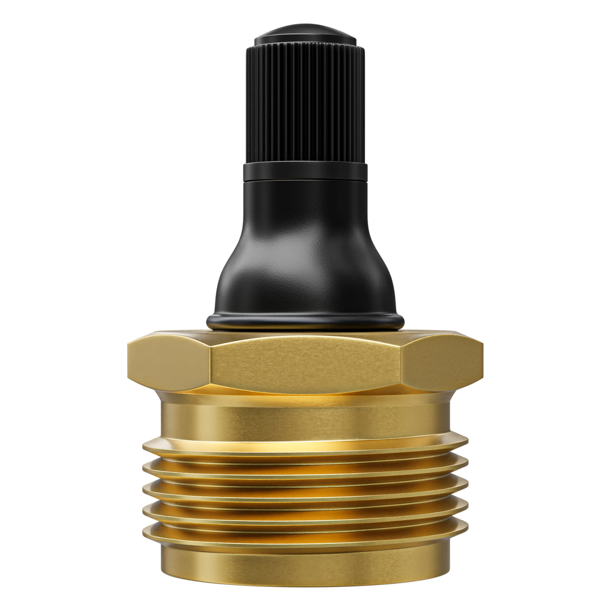 Leisure Coachworks RV Water Blow Out Plug Adapter with 3/4 Inch GHT to Schrader Valve (Brass)