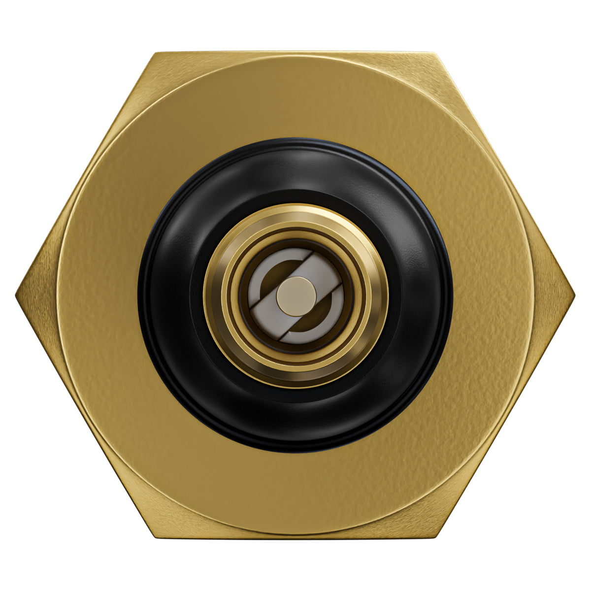 Leisure Coachworks RV Water Blow Out Plug Adapter with 3/4 Inch GHT to Schrader Valve (Brass)