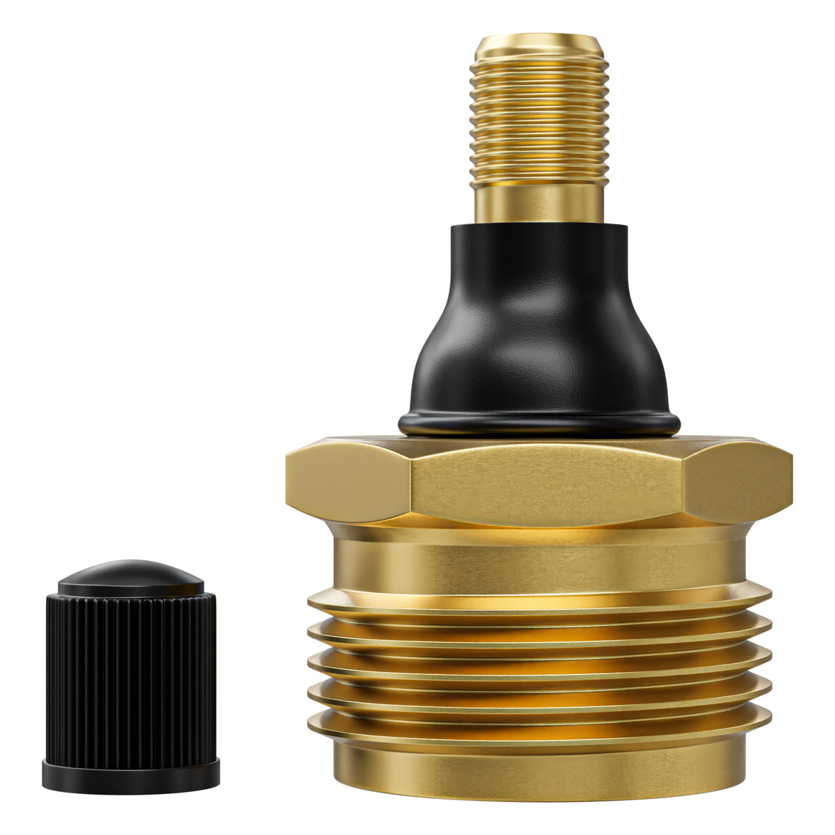 Leisure Coachworks RV Water Blow Out Plug Adapter with 3/4 Inch GHT to Schrader Valve (Brass)