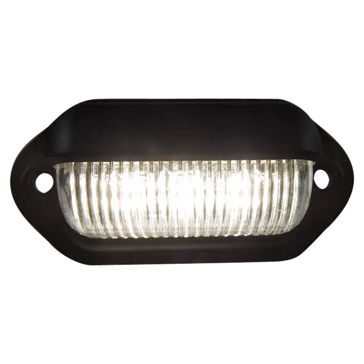 Leisure LED 12V RV Exterior LED License Plate Light Rectangle with Clear Lens 1.5 Inch (Black)