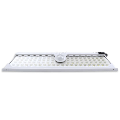Leisure LED 12V RV Exterior LED Solar Light Cool White with Switch 3 Mode Motion Sensor 12 Inch (White)