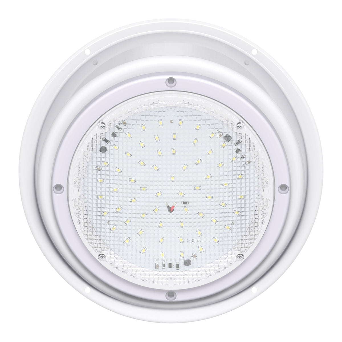 Leisure LED 12V RV Exterior LED Scare Light Round Cool White Clear Lens 600 Lumen with Bezel Kit 8 Inch (White)