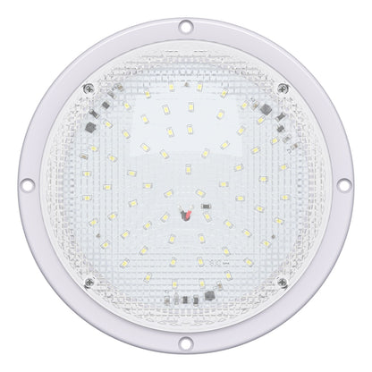 Leisure LED 12V RV Exterior LED Scare Light Round Cool White Clear Lens 1000 Lumen 8 Inch (White)