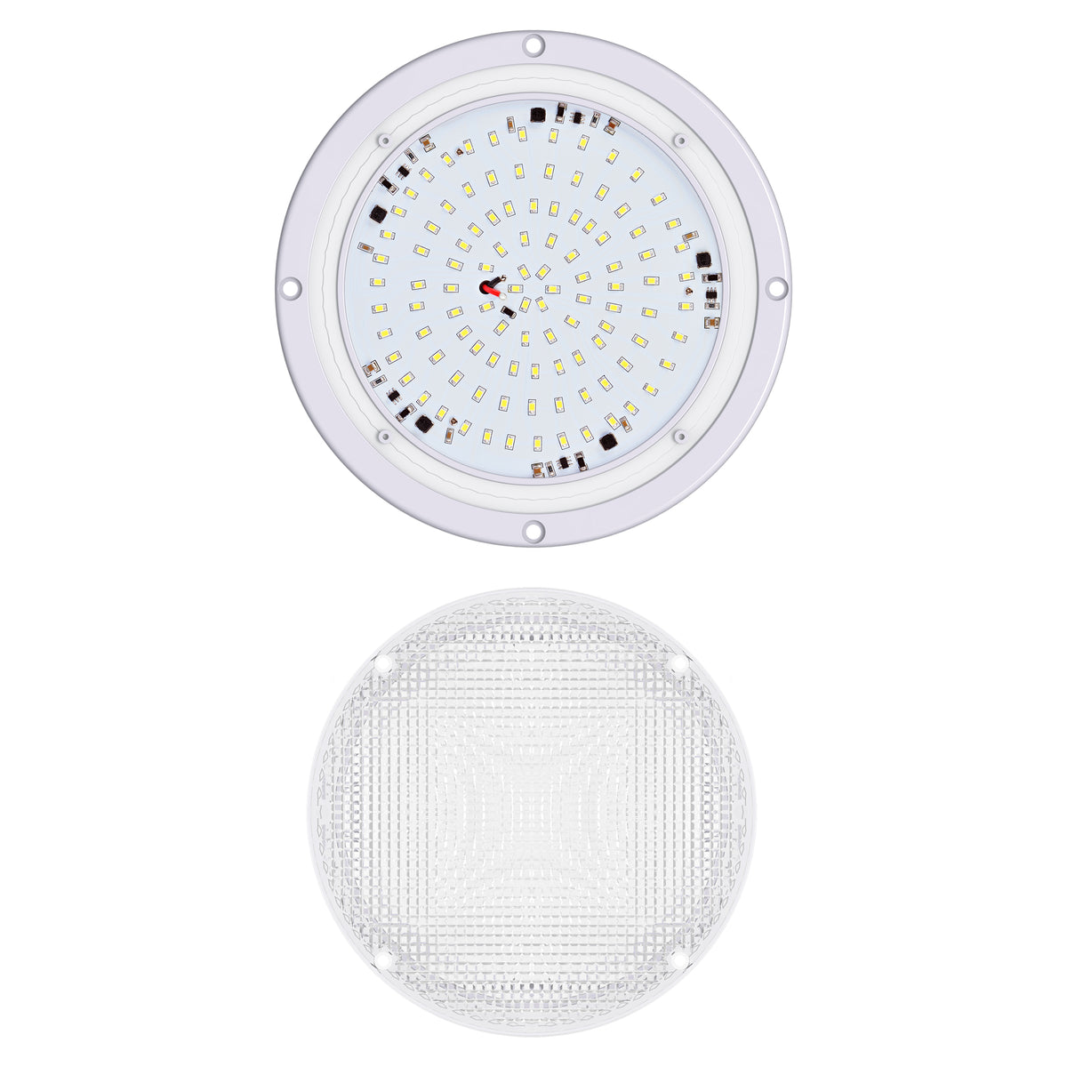 Leisure LED 12V RV Exterior LED Scare Light Round Cool White Clear Lens 1000 Lumen 8 Inch (White)