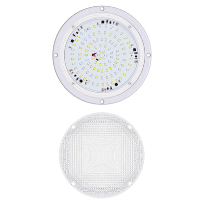 Leisure LED 12V RV Exterior LED Scare Light Round Cool White Clear Lens 1000 Lumen 8 Inch (White)