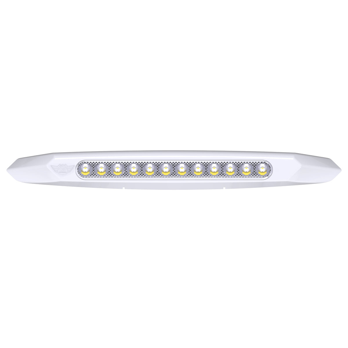 Leisure LED 12V RV Exterior LED Awning Porch Light Cool White with Clear Lens 13 Inch (White)