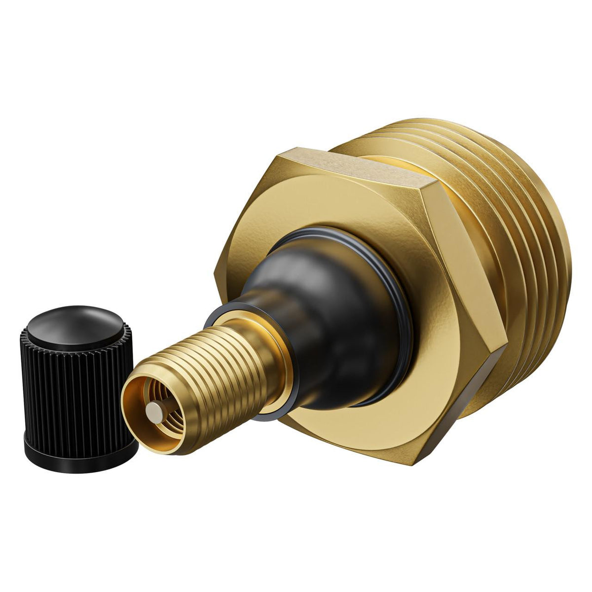 Leisure Coachworks RV Water Blow Out Plug Adapter for Winterization 3/4ÃƒÂ¢Ã¢â€šÂ¬Ã‚Â GHT Male Connector to Schrader Valve to Blow Out RV, Trailer, Campers, Motorhomes, and Travel Trailers Water Lines 