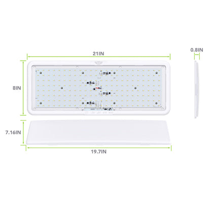 Leisure LED LED RV LED Ceiling Interior Light Fixture 2000 Lumen with Touch Dimmer Switch 12V 21 x 8 Natural White 4000-4500K With White Trim